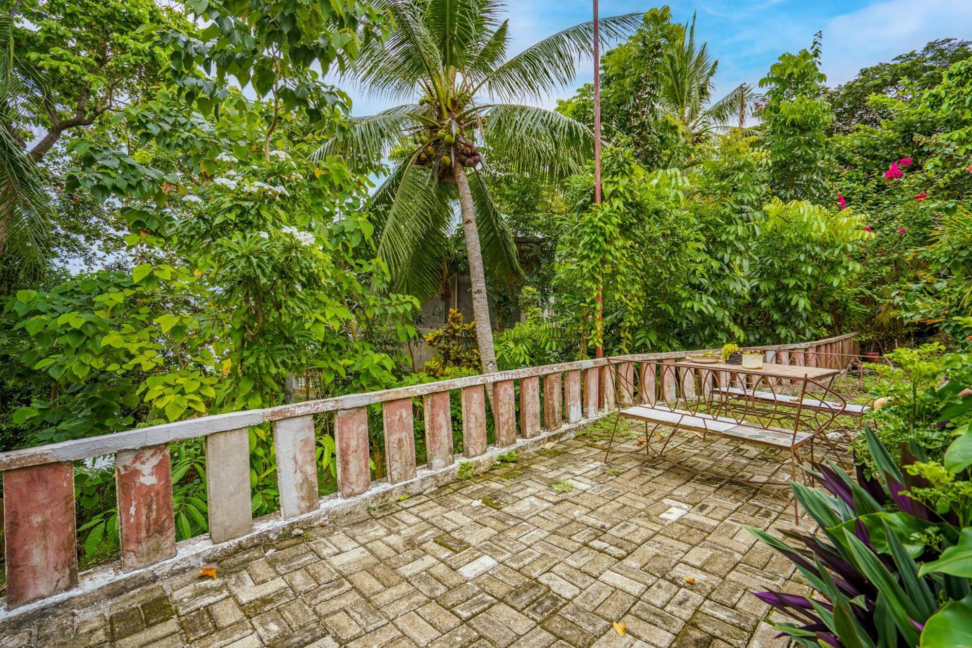 Weyh'S Studio #1 By The Ocean 100Mbps Panglao Zewnętrze zdjęcie